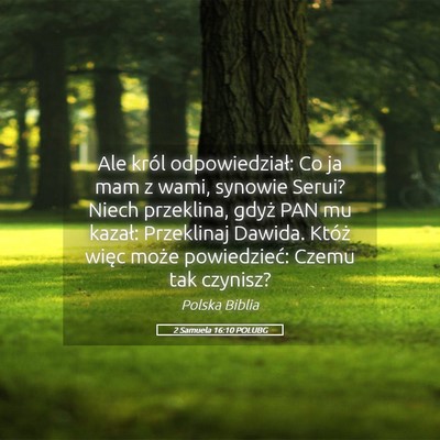 Picture 05 - 2 Samuela 16:10 POLUBG - Ale król odpowiedział: Co ja mam z wami, - Bible Verse Picture