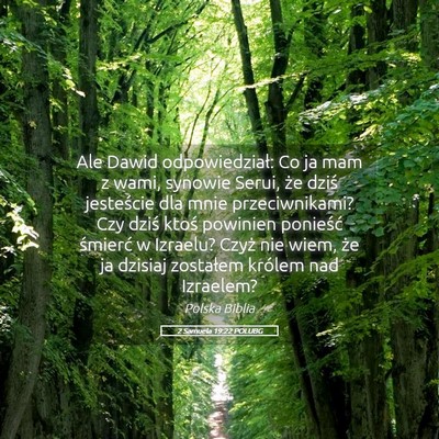 Picture 05 - 2 Samuela 19:22 POLUBG - Ale Dawid odpowiedział: Co ja mam z wami, - Bible Verse Picture