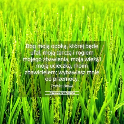 Picture 05 - 2 Samuela 22:3 POLUBG - Bóg moją opoką, której będę ufał, moją - Bible Verse Picture