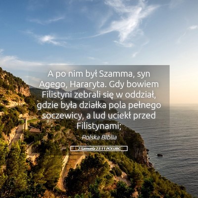 Picture 05 - 2 Samuela 23:11 POLUBG - A po nim był Szamma, syn Agego, Hararyta. Gdy - Bible Verse Picture