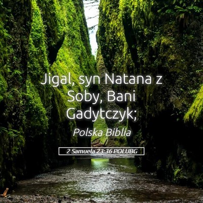Picture 05 - 2 Samuela 23:36 POLUBG - Jigal, syn Natana z Soby, Bani - Bible Verse Picture