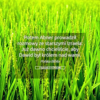 Picture 05 - 2 Samuela 3:17 POLUBG - Potem Abner prowadził rozmowy ze starszymi - Bible Verse Picture