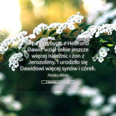 Picture 05 - 2 Samuela 5:13 POLUBG - A po przybyciu z Hebronu Dawid wziął sobie - Bible Verse Picture