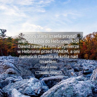 Picture 05 - 2 Samuela 5:3 POLUBG - Wszyscy starsi Izraela przyszli więc do króla - Bible Verse Picture