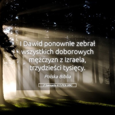 Picture 05 - 2 Samuela 6:1 POLUBG - I Dawid ponownie zebrał wszystkich doborowych - Bible Verse Picture