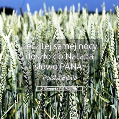 Picture 05 - 2 Samuela 7:4 POLUBG - Lecz tej samej nocy doszło do Natana słowo - Bible Verse Picture