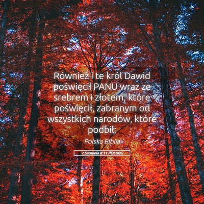 Picture 05 - 2 Samuela 8:11 POLUBG - Również i te król Dawid poświęcił PANU wraz - Bible Verse Picture