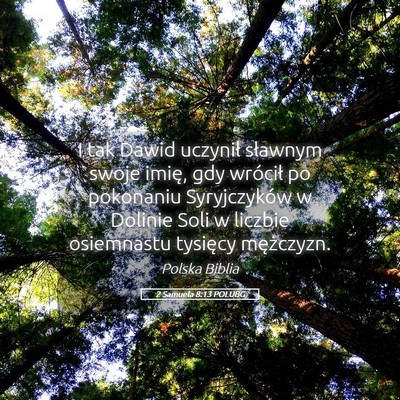 Picture 05 - 2 Samuela 8:13 POLUBG - I tak Dawid uczynił sławnym swoje imię, gdy - Bible Verse Picture