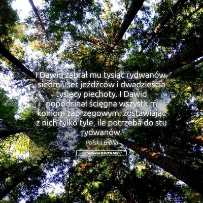 Picture 05 - 2 Samuela 8:4 POLUBG - I Dawid zabrał mu tysiąc rydwanów, siedmiuset - Bible Verse Picture