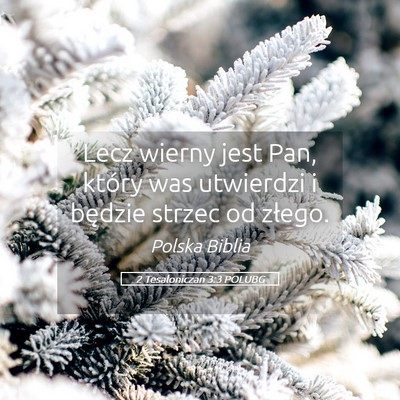 Picture 05 - 2 Tesaloniczan 3:3 POLUBG - Lecz wierny jest Pan, który was utwierdzi i - Bible Verse Picture
