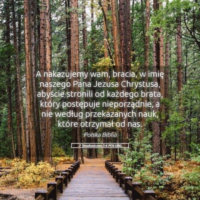 Picture 05 - 2 Tesaloniczan 3:6 POLUBG - A nakazujemy wam, bracia, w imię naszego Pana - Bible Verse Picture