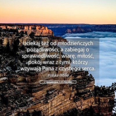 Picture 05 - 2 Tymoteusza 2:22 POLUBG - Uciekaj też od młodzieńczych pożądliwości, - Bible Verse Picture