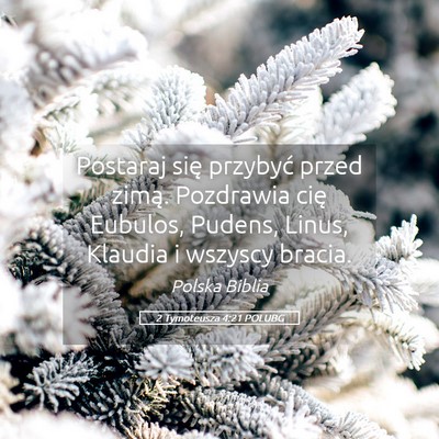 Picture 05 - 2 Tymoteusza 4:21 POLUBG - Postaraj się przybyć przed zimą. Pozdrawia - Bible Verse Picture