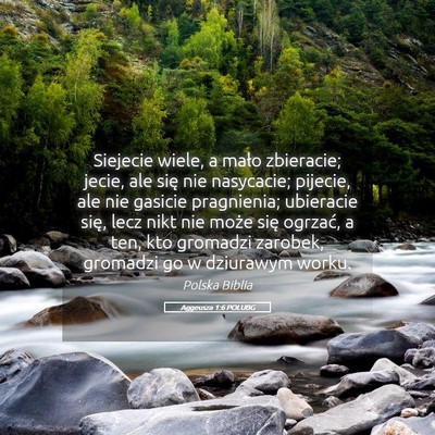 Picture 05 - Aggeusza 1:6 POLUBG - Siejecie wiele, a mało zbieracie; jecie, ale - Bible Verse Picture
