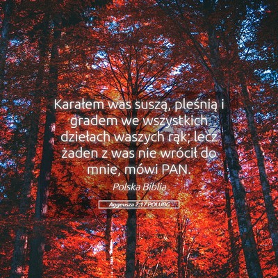 Picture 05 - Aggeusza 2:17 POLUBG - Karałem was suszą, pleśnią i gradem we - Bible Verse Picture