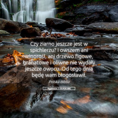 Picture 05 - Aggeusza 2:19 POLUBG - Czy ziarno jeszcze jest w spichlerzu? I owszem - Bible Verse Picture