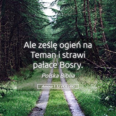 Picture 05 - Amosa 1:12 POLUBG - Ale ześlę ogień na Teman i strawi pałace - Bible Verse Picture