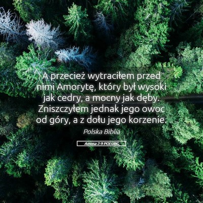 Picture 05 - Amosa 2:9 POLUBG - A przecież wytraciłem przed nimi Amorytę, - Bible Verse Picture