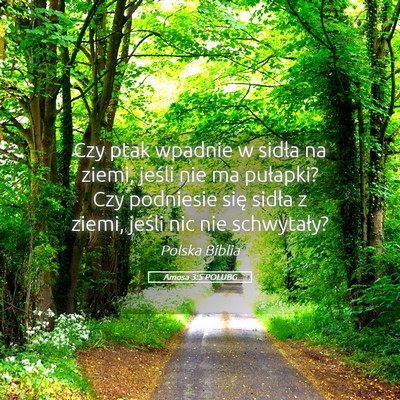Picture 05 - Amosa 3:5 POLUBG - Czy ptak wpadnie w sidła na ziemi, jeśli nie ma - Bible Verse Picture