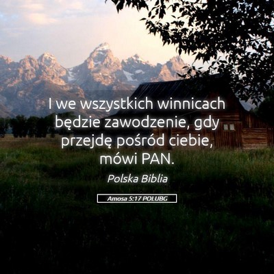 Picture 05 - Amosa 5:17 POLUBG - I we wszystkich winnicach będzie zawodzenie, gdy - Bible Verse Picture