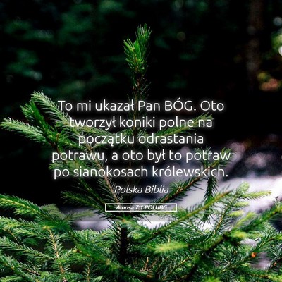 Picture 05 - Amosa 7:1 POLUBG - To mi ukazał Pan BÓG. Oto tworzył koniki polne - Bible Verse Picture