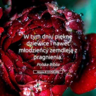 Picture 05 - Amosa 8:13 POLUBG - W tym dniu piękne dziewice i nawet młodzieńcy - Bible Verse Picture