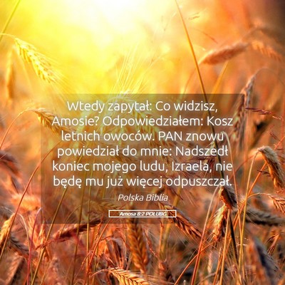 Picture 05 - Amosa 8:2 POLUBG - Wtedy zapytał: Co widzisz, Amosie? - Bible Verse Picture