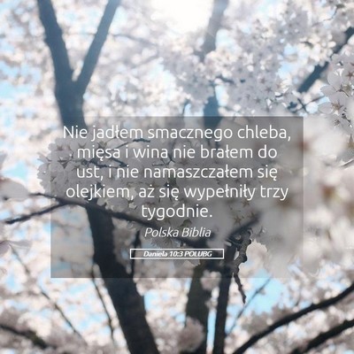 Picture 05 - Daniela 10:3 POLUBG - Nie jadłem smacznego chleba, mięsa i wina nie - Bible Verse Picture