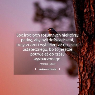 Picture 05 - Daniela 11:35 POLUBG - Spośród tych rozumnych niektórzy padną, aby - Bible Verse Picture