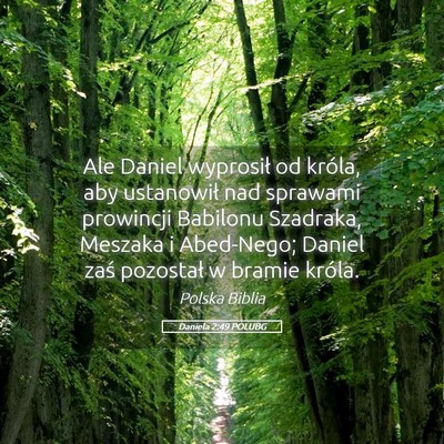 Picture 05 - Daniela 2:49 POLUBG - Ale Daniel wyprosił od króla, aby ustanowił - Bible Verse Picture