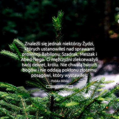 Picture 05 - Daniela 3:12 POLUBG - Znaleźli się jednak niektórzy Żydzi, których - Bible Verse Picture