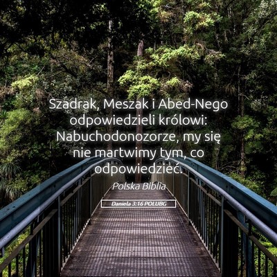 Picture 05 - Daniela 3:16 POLUBG - Szadrak, Meszak i Abed-Nego odpowiedzieli - Bible Verse Picture