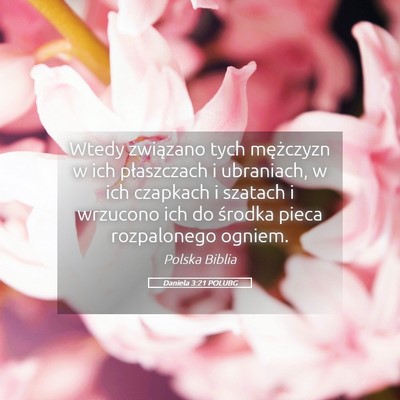Picture 05 - Daniela 3:21 POLUBG - Wtedy związano tych mężczyzn w ich płaszczach - Bible Verse Picture