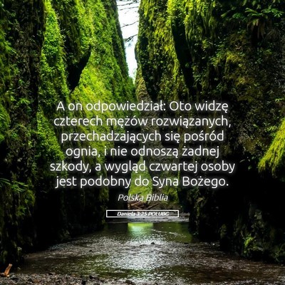Picture 05 - Daniela 3:25 POLUBG - A on odpowiedział: Oto widzę czterech mężów - Bible Verse Picture