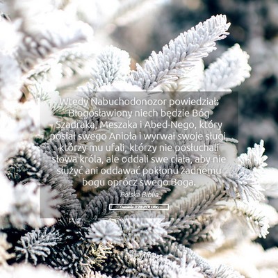 Picture 05 - Daniela 3:28 POLUBG - Wtedy Nabuchodonozor powiedział: Błogosławiony - Bible Verse Picture