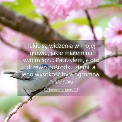 Picture 05 - Daniela 4:10 POLUBG - Takie są widzenia w mojej głowie, jakie miałem - Bible Verse Picture