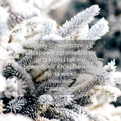 Picture 05 - Daniela 6:6 POLUBG - Wtedy ci zwierzchnicy i satrapowie zgromadzili - Bible Verse Picture