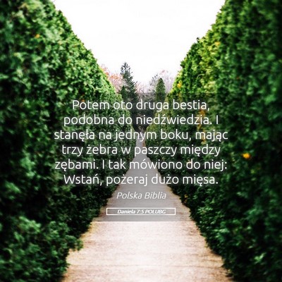 Picture 05 - Daniela 7:5 POLUBG - Potem oto druga bestia, podobna do niedźwiedzia. - Bible Verse Picture