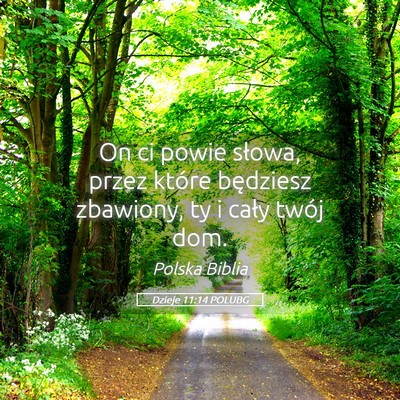 Picture 05 - Dzieje 11:14 POLUBG - On ci powie słowa, przez które będziesz - Bible Verse Picture