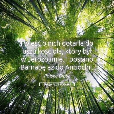 Picture 05 - Dzieje 11:22 POLUBG - I wieść o nich dotarła do uszu kościoła, - Bible Verse Picture