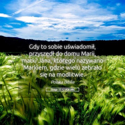Picture 05 - Dzieje 12:12 POLUBG - Gdy to sobie uświadomił, przyszedł do domu - Bible Verse Picture
