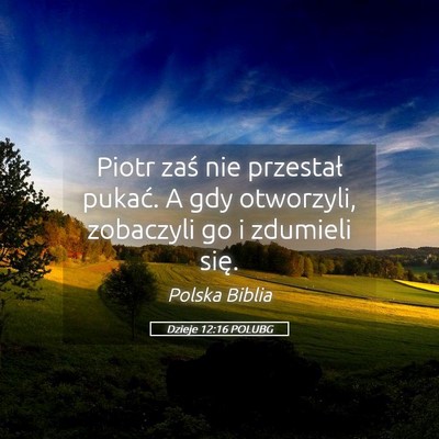 Picture 05 - Dzieje 12:16 POLUBG - Piotr zaś nie przestał pukać. A gdy otworzyli, - Bible Verse Picture