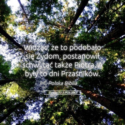 Picture 05 - Dzieje 12:3 POLUBG - Widząc, że to podobało się Żydom, - Bible Verse Picture