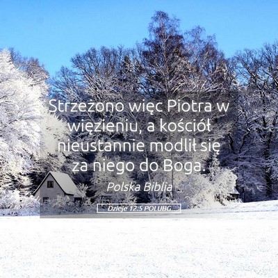 Picture 05 - Dzieje 12:5 POLUBG - Strzeżono więc Piotra w więzieniu, a - Bible Verse Picture