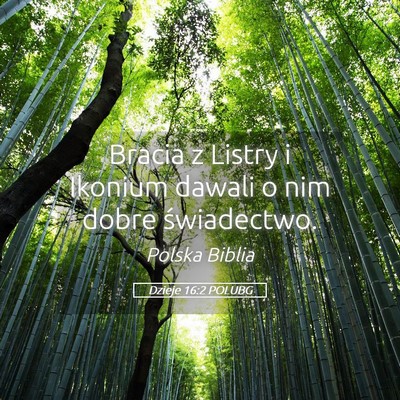 Picture 05 - Dzieje 16:2 POLUBG - Bracia z Listry i Ikonium dawali o nim dobre - Bible Verse Picture