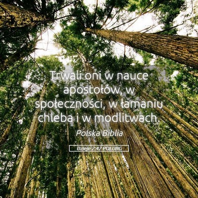 Picture 05 - Dzieje 2:42 POLUBG - Trwali oni w nauce apostołów, w społeczności, - Bible Verse Picture