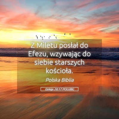 Picture 05 - Dzieje 20:17 POLUBG - Z Miletu posłał do Efezu, wzywając do siebie - Bible Verse Picture
