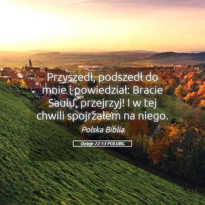 Picture 05 - Dzieje 22:13 POLUBG - Przyszedł, podszedł do mnie i powiedział: - Bible Verse Picture
