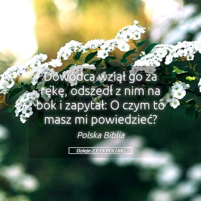 Picture 05 - Dzieje 23:19 POLUBG - Dowódca wziął go za rękę, odszedł z nim na - Bible Verse Picture