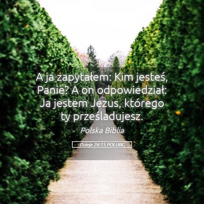 Picture 05 - Dzieje 26:15 POLUBG - A ja zapytałem: Kim jesteś, Panie? A on - Bible Verse Picture